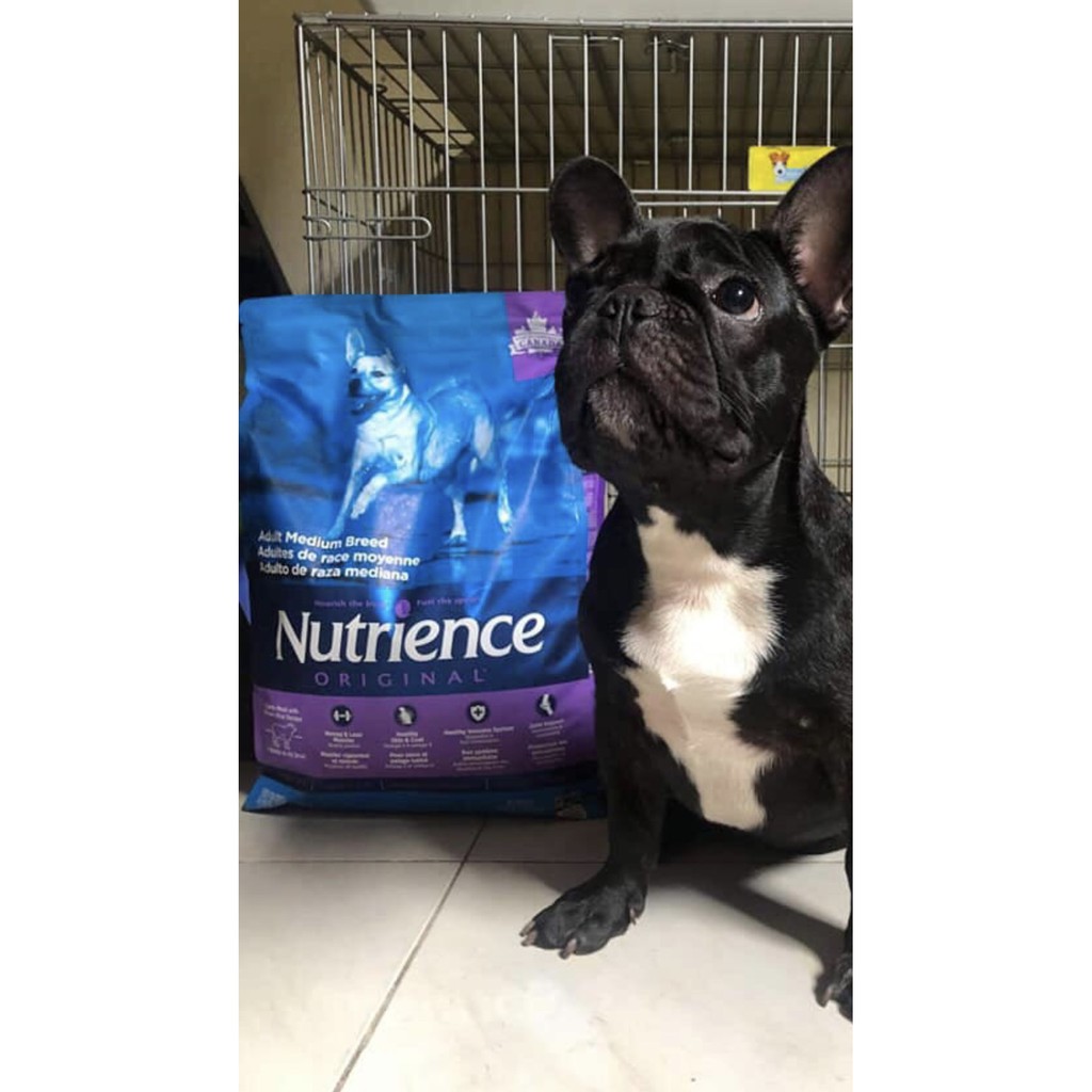 Thức Ăn Cho Chó Becgie - Nutrience Original Bao 11,5kg - Thịt Cừu, Rau Củ Và Trái Cây Tự Nhiên