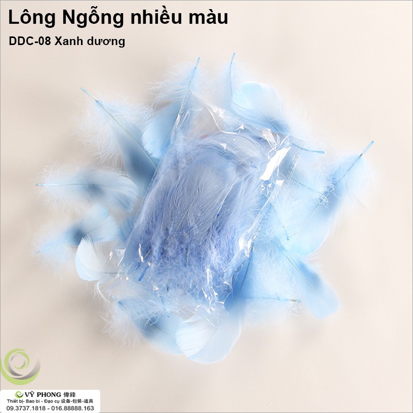 LÔNG NGỖNG TỰ NHIÊN NHIỀU MÀU SẮC DECOR LÔNG CHIM TRANG TRÍ ĐẠO CỤ CHỤP ẢNH SẢN PHẨM DDC-06,7,8,9,10