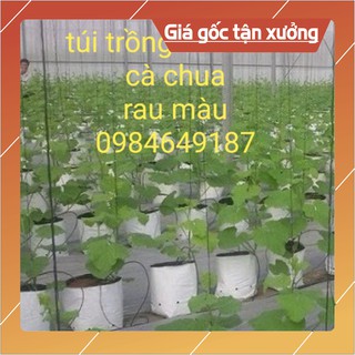 Bộ 20 túi trồng PE (R20 x H40) trồng cà chua, ớt, dưa lưới loại day dặn (Hàng Loại 1)