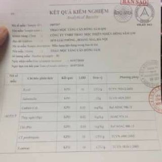 THẢO MỘC TĂNG CÂN HỒNG SÂM QM