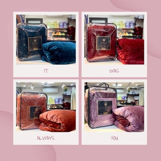 Chăn ultimate blanket cao cấp 2,5kg
