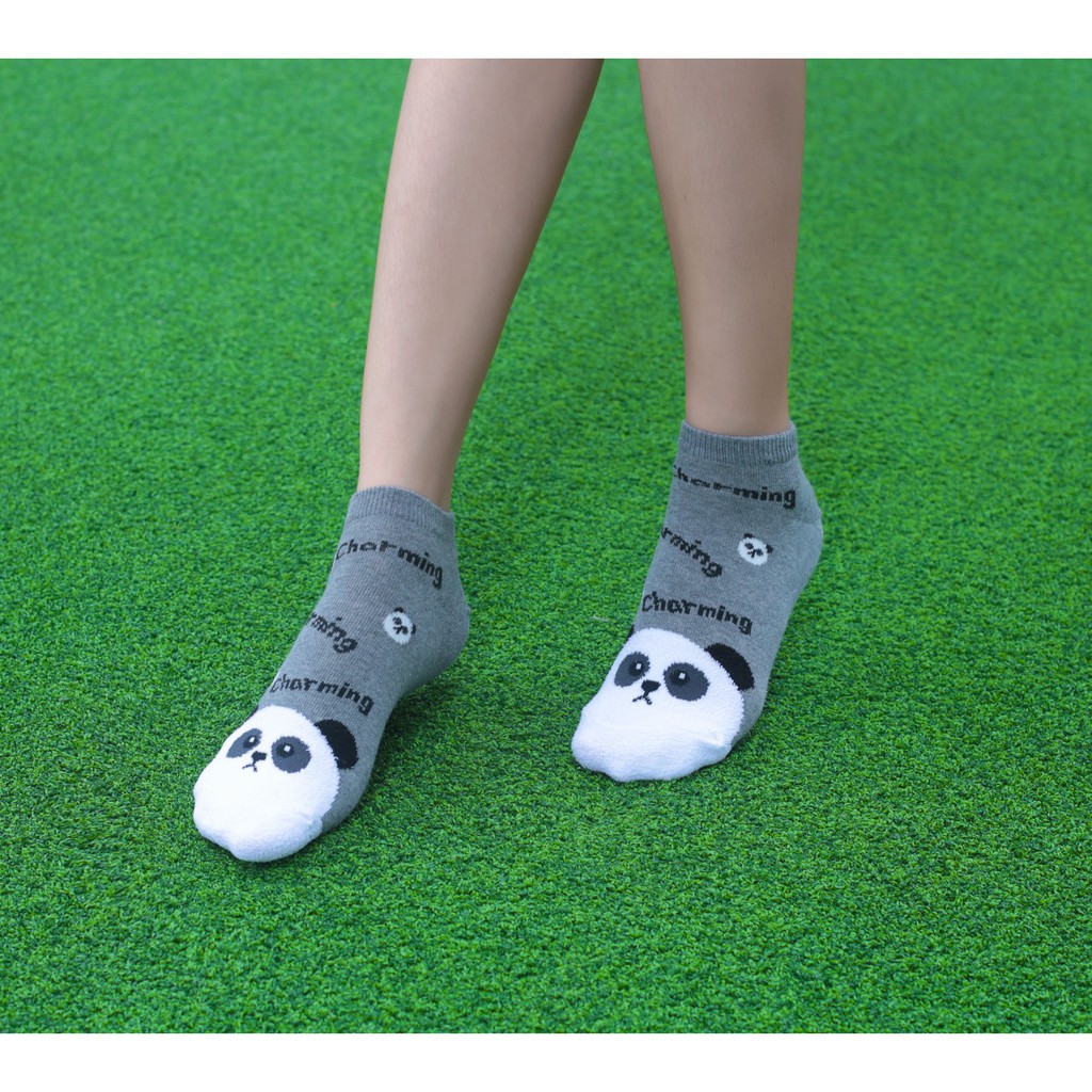 Tất vớ nữ hình thú cổ ngắn Kikiya cao cấp Hàn Quốc W-A-028 (Chính Hãng)