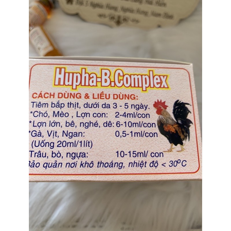 10ml Hupha B Complex - vitamin nhóm B cho chó mèo, heo con, bê, nghé, dê, gà, vịt, ngan, trâu, bò, ngựa