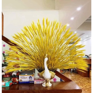🌼Hoa Khô🌼 Bó 100 bông lúa mạch sấy khô
