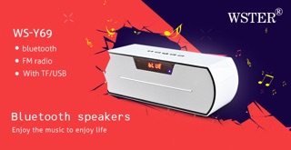 Loa bluetooth WS-Y69