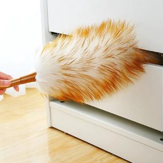 Chổi lông phủi bụi chuyên dụng tiện lợi