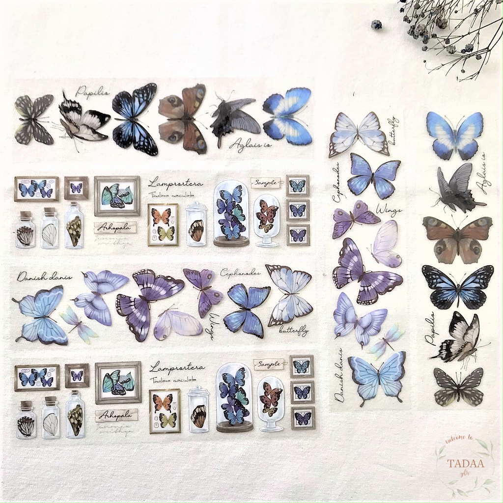 Set 6 sticker aesthetics vintage, nhãn dán hoa lá, hình bướm, butterfly flower retro trong suốt không thấm nước dán sổ