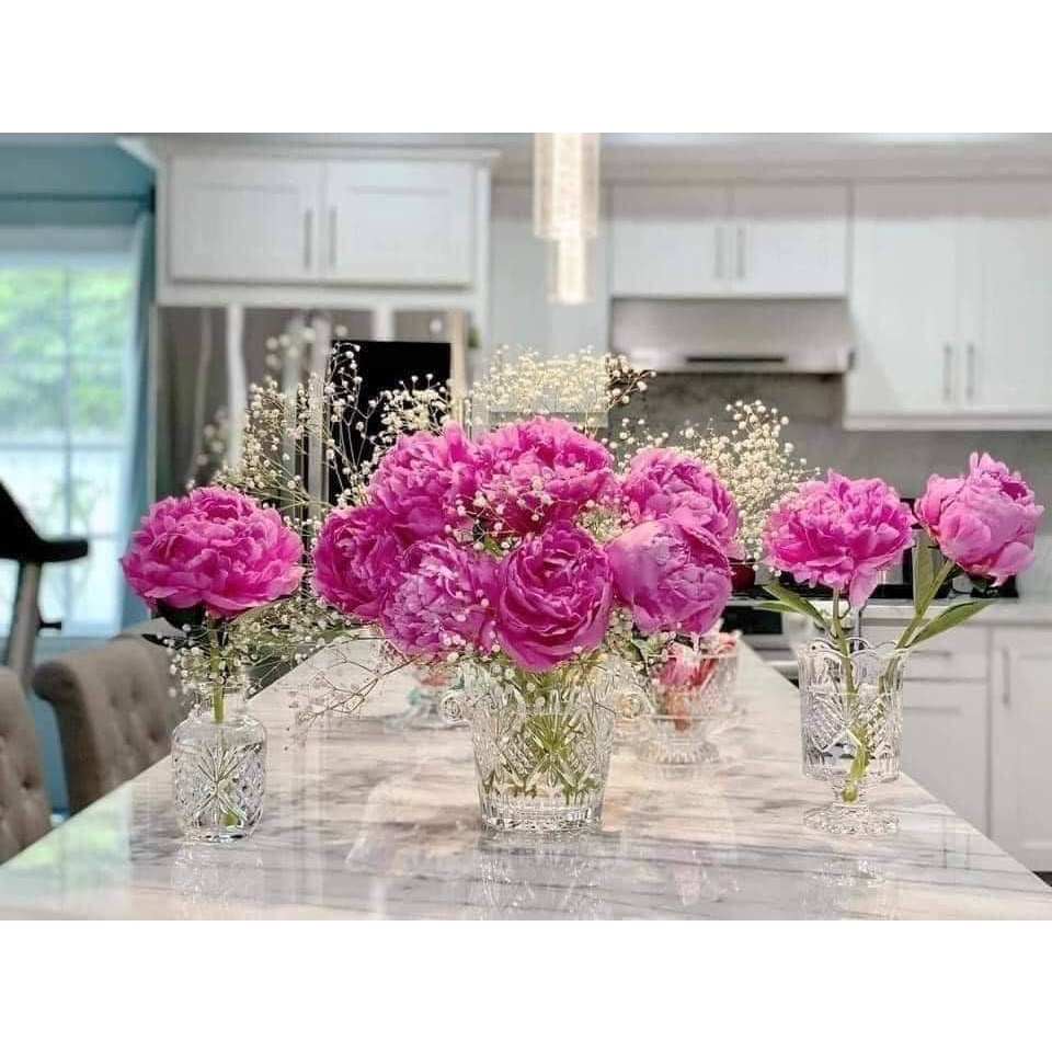 XÔ ĐỰNG ĐÁ PHA LÊ CAO CẤP GODINGER DUBLIN - Hàng Mỹ Chính Hãng