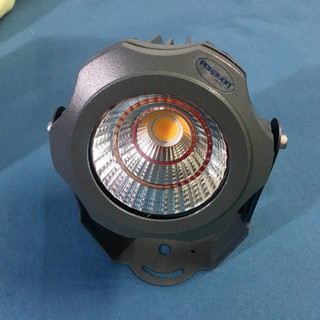 Đèn pha không thấm nước Paragon POLT565L - 5W