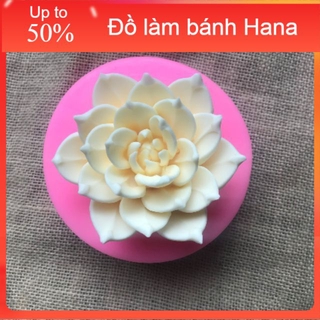 Khuôn silicon 4D Sen đá 10cm