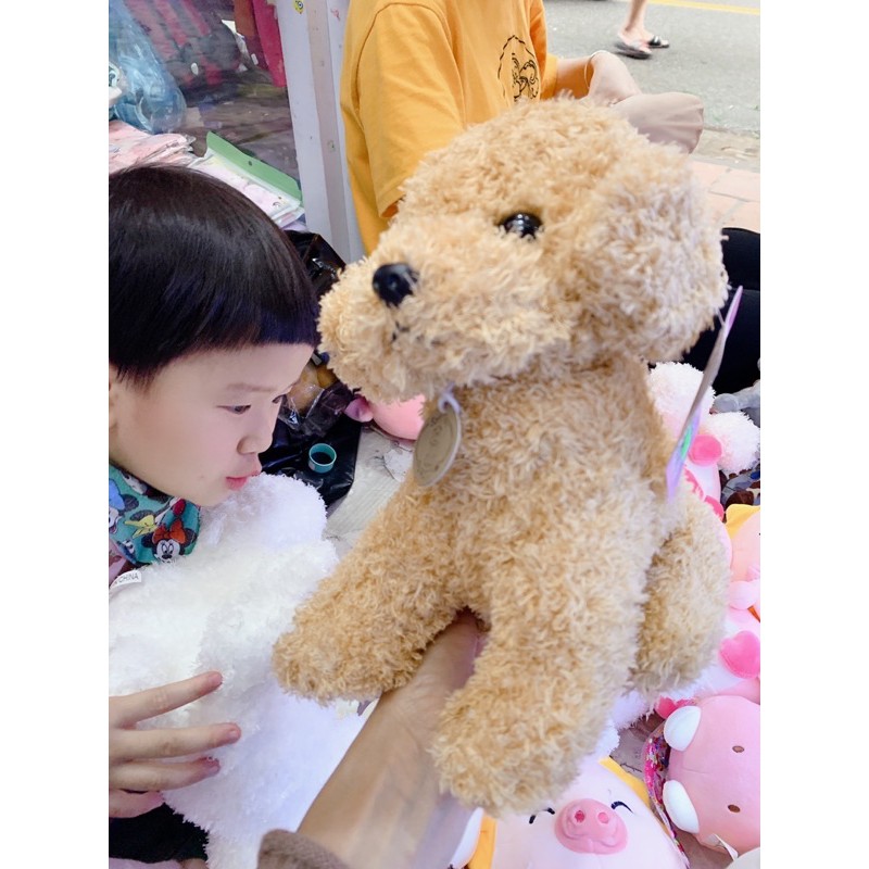 Chó Poodle bằng bông