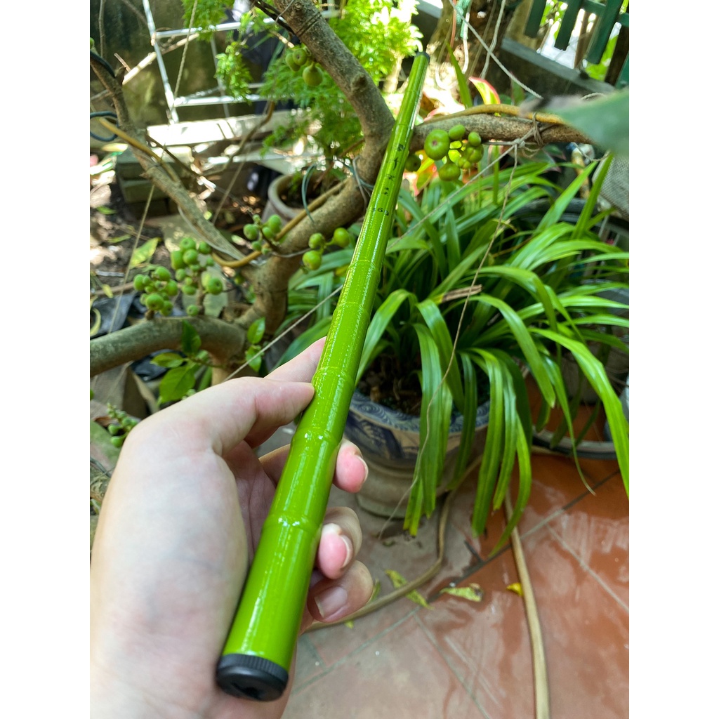 Siêu Rẻ Cần Câu Tay Câu Đơn Câu Đài Trúc Xanh 3H Cần Câu Cá Giá Rẻ Combo Kèm Phụ Kiện Câu Đài