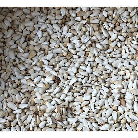 1kg Hạt Kham Trắng Giàu Dinh Dưỡng Cho Chim-Vẹt