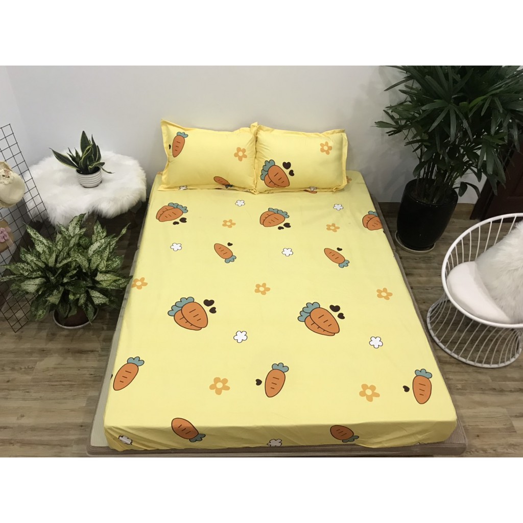 Ga Chống Thấm Cotton Hàn Quốc Cà Rốt Vàng CTT20