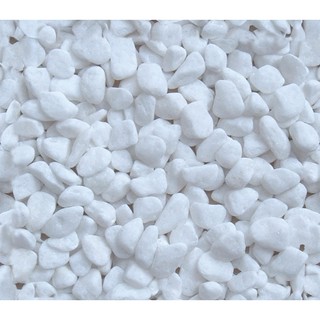 SỎI TRẮNG - 1 Kg/ gói