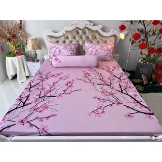 BỘ DRAP THUN LẠNH Ý 5D CAO CẤP