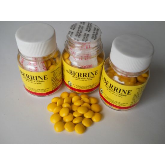 BERBERIN lọ nhỏ_Thảo Dược cầm tiêu chảy, kiết lỵ, viêm đại tràng cấp và mãn tính