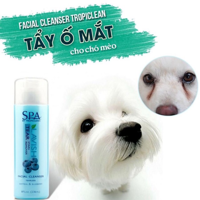 Tẩy Ố Vệ Sinh Vùng Mắt Cho Chó Mèo - Sữa Rửa Mặt Cao Cấp TropiClean