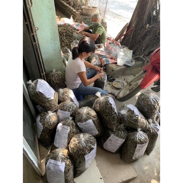 1Kg Chè vằng lợi sữa giảm cân, ngủ tốt