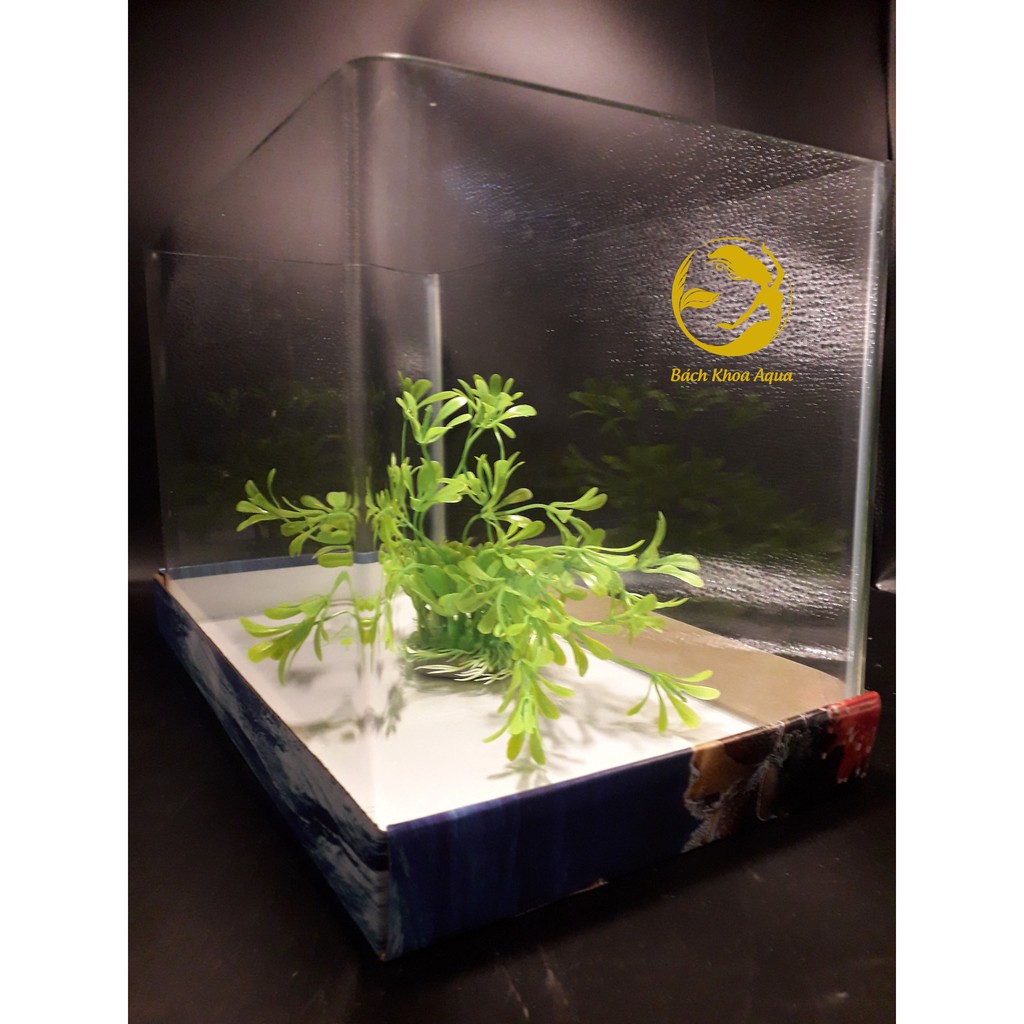 Bể đúc siêu trong 45x28x30cm