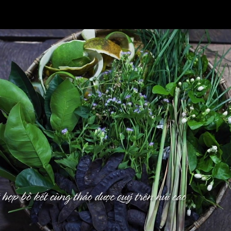 CAO BỒ KẾT GỘI ĐẦU cùng thảo dược - Dược liệu sạch VÕ NHAI - Hết ngứa, sạch gàu, mượt tóc! | BigBuy360 - bigbuy360.vn