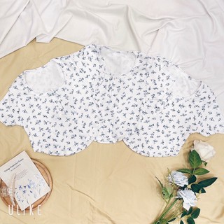 Áo croptop hoa nhí