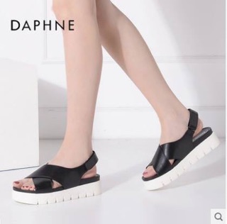 Sandan daphne