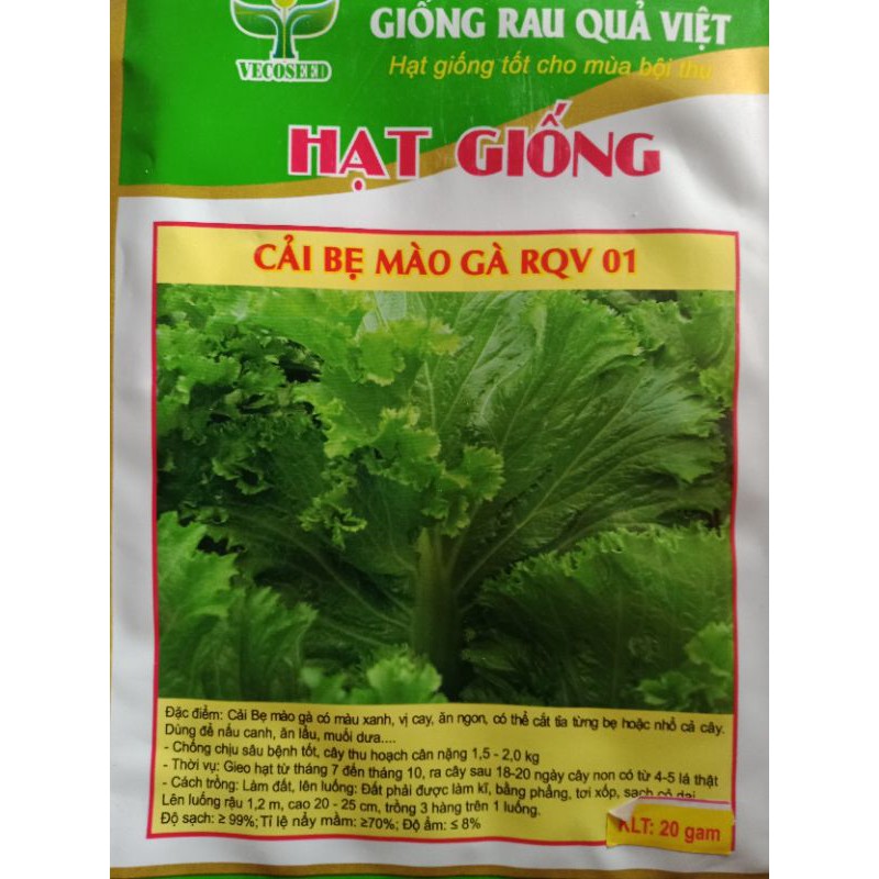 cải bẹ mào gà ngọt ko đắng