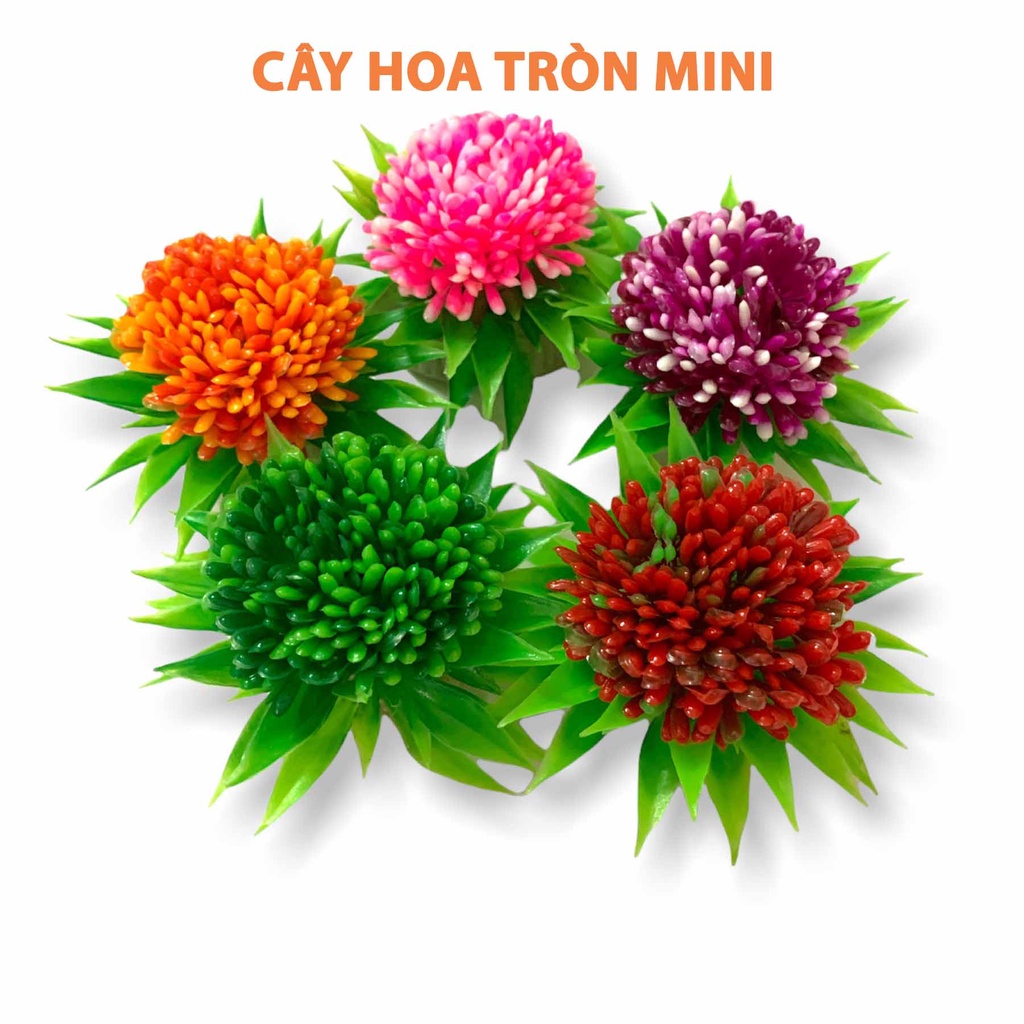 [NHẬN QUÀ KHI MUA ĐƠN 39K] Cây Nhựa Mô Hình Trang Trí Hồ Cá SIZE MINI [CÂY TRÒN MINI]