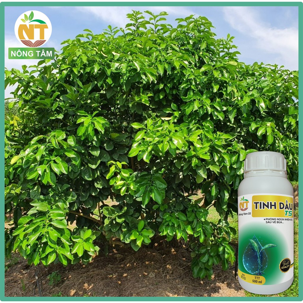 Chế phẩm sinh học đặc trị sâu bệnh, nhện đỏ, sâu vẽ bùa, sâu ăn lá trên cây ăn quả, chai 500ml
