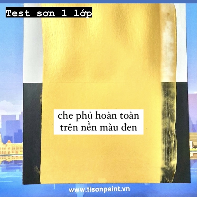 SƠN NƯỚC NHŨ VÀNG TISON CHUYÊN DÙNG TRONG CÁC CÔNG TRÌNH KIẾN TRÚC, TRANG TRÍ NỘI NGOẠI THẤT