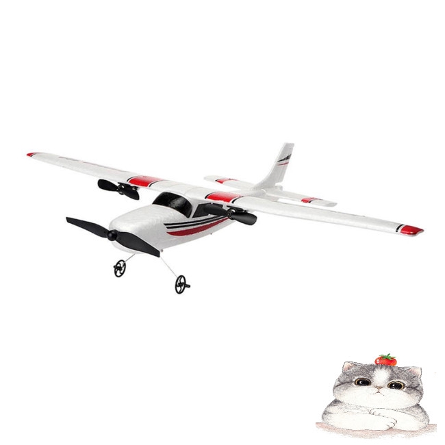 Máy Bay Đồ Chơi Điều Khiển Từ Xa Fx801 Rc Epp 2.4g 2ch