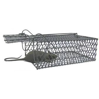 Bẫy lồng chuột, Lồng bẫy những chú chuột đáng yêu còn trẻ người non dạ