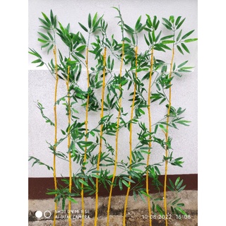 Cây trúc giả trang trí