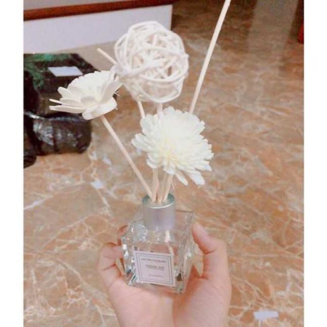 Tinh dầu thơm phòng Aromatherapy