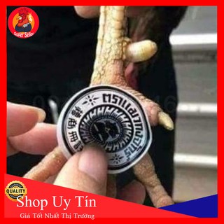 Combo 10 Miếng Dán Ké Chậu Cho Gà
