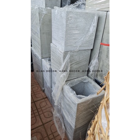 Chậu xi măng vuông, trụ hằng decor