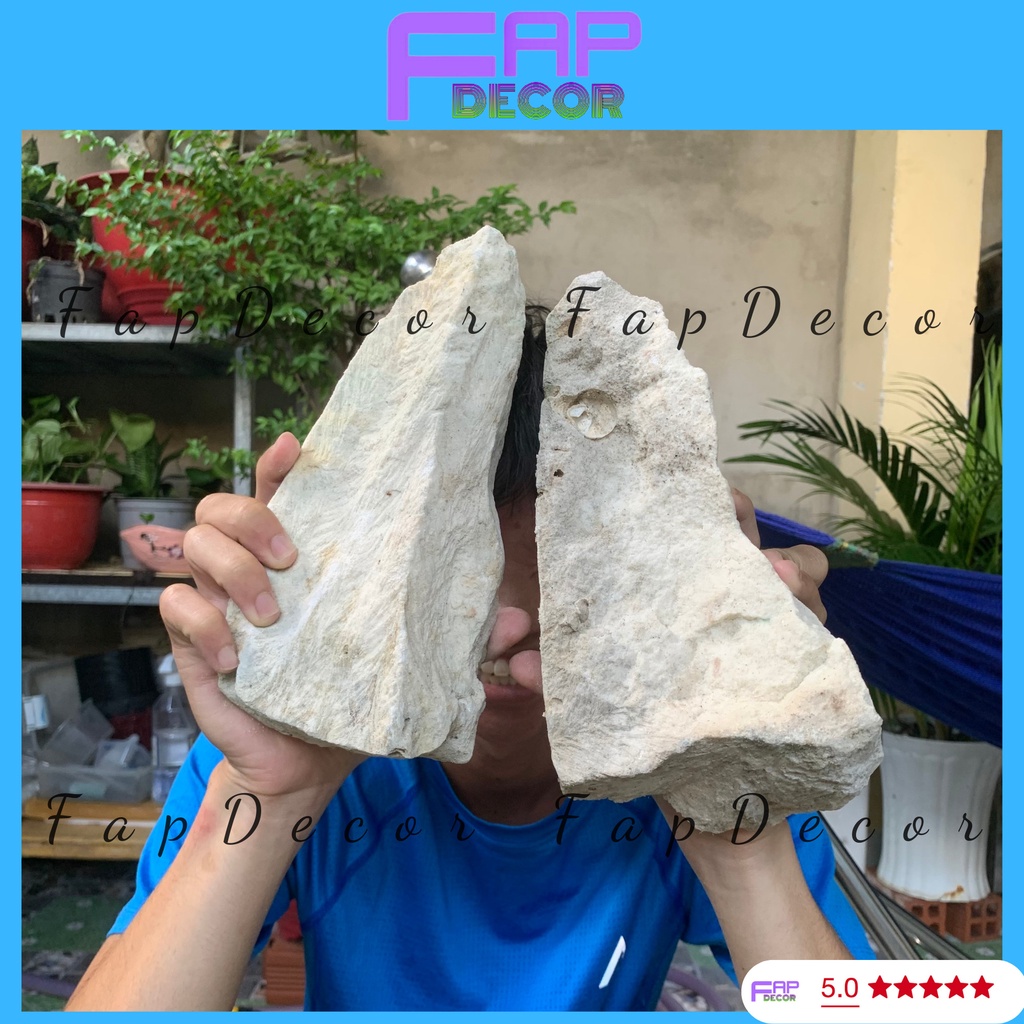 ĐÁ VÔI TRANG TRÍ THỦY SINH TRANG TRÍ BỂ CÁ LÀM HÒN NON BỘ - FAPDECOR