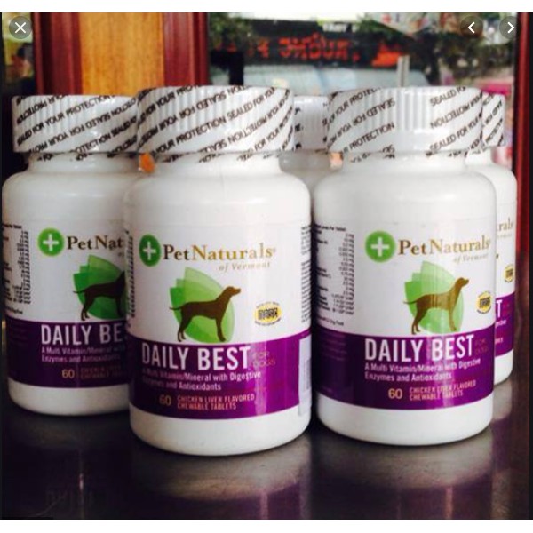 Viên Daily Best VITAMIN TỔNG HỢP tăng sức đề kháng cho thú cưng