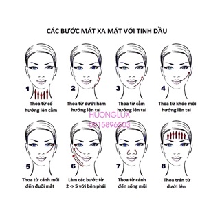 Tinh dầu bơ 10ml (sỉ)