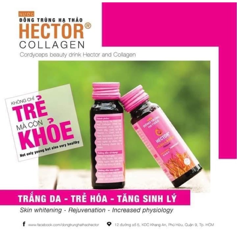 [Chính Hãng  - TĂNG QUÀ ] Nước Hector Collagen Đông Trùng Hạ Thảo 1 hộp 10 chai | BigBuy360 - bigbuy360.vn