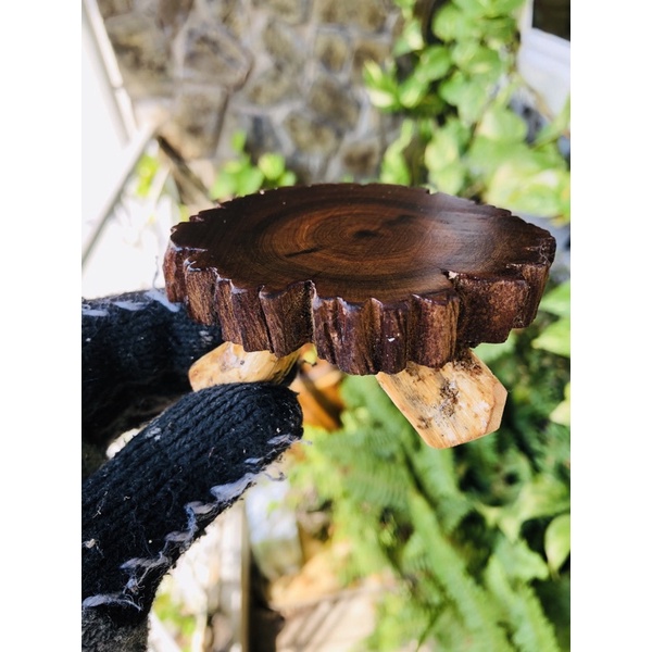 Đôn gỗ mini handmade cho bonsai tượng, để ly trà cafe