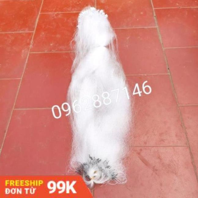 lưới đánh bắt cá tàng hình 30m siêu nhậy