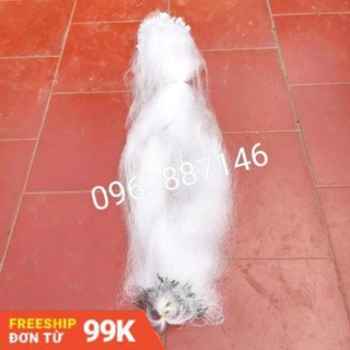 Lưới đánh bắt cá tàng hình 30m siêu nhậy