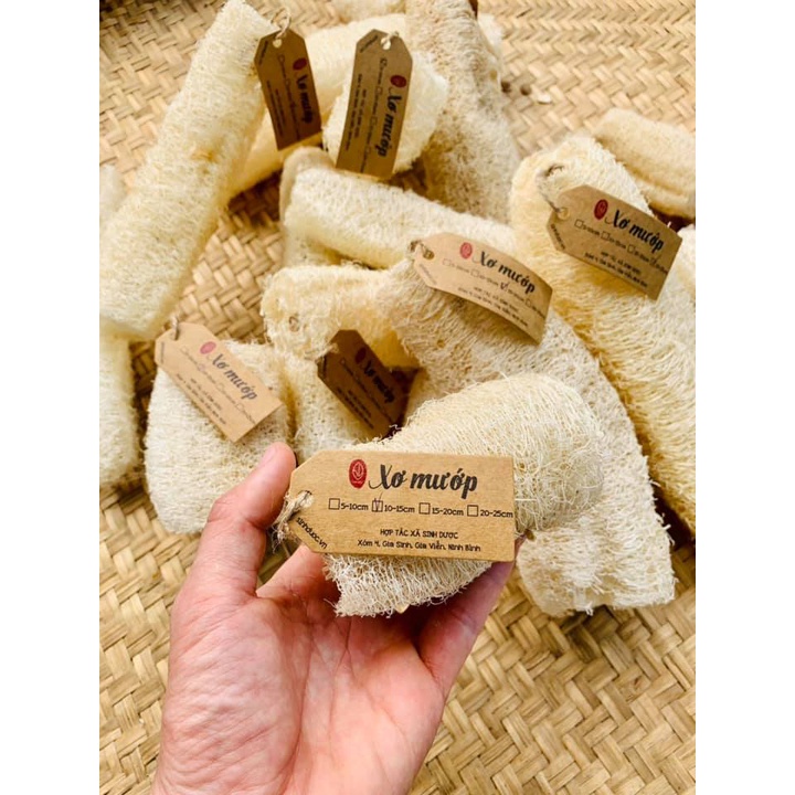 Xơ Mướp Khô Tự Nhiên, Để Tắm, Tẩy Da Chết, Rửa Bát Bena Organic