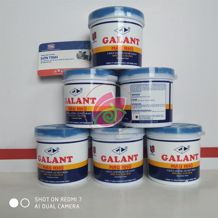 Combo 5 màu Ve màu galant , màu nhũ Galant loại 225ml