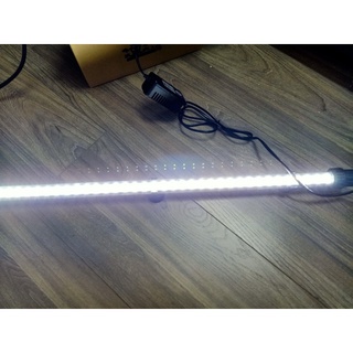 Đèn LED trang trí siêu rẻ bể cá cảnh
