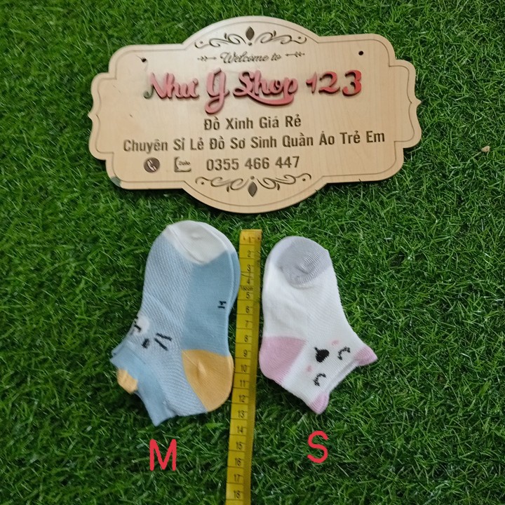 B28 - Set 5 Đôi Tất Quảng Châu Điều Hòa Cotton Cổ thấp Kid's Socks Túi Zip Mềm Mại Thoáng Khí Cho Bé Từ 0-3 Tuổi