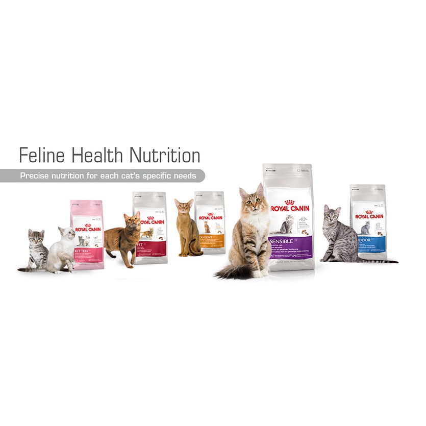 2kg - Hạt Indoor 27 Royal Canin thức ăn hạt dành cho mèo trưởng thành trên 12 tháng tuổi