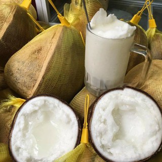 Dừa sáp Trà Vinh
